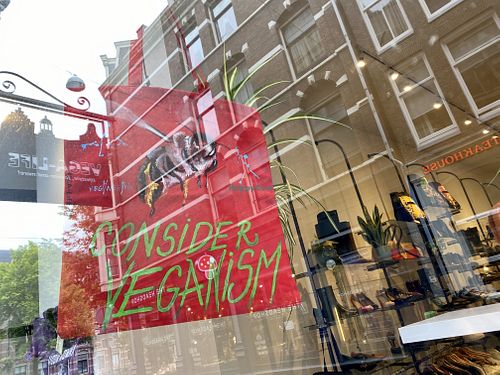 window at VEGA-LIFE in Amsterdam