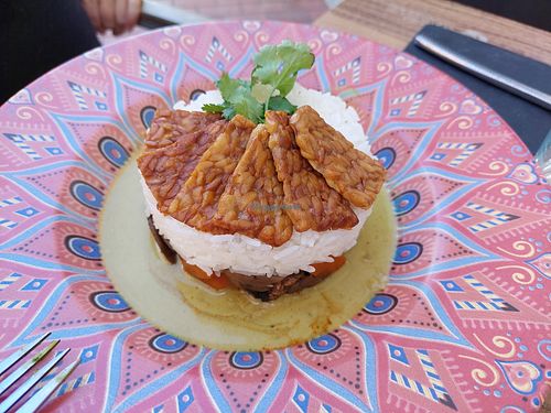 Green curry with tempeh at Avocadisimo in Gran Canaria