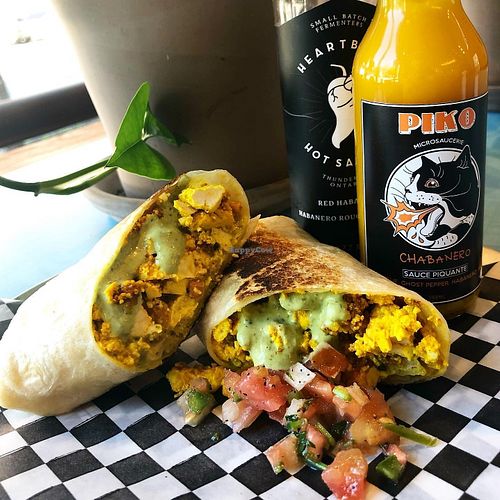 Maynard at Maynard in Montreal