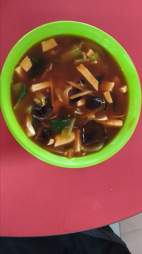 Spicy and sour soup $3.50 at Travelers Palm Vegetarian in Central Singapore