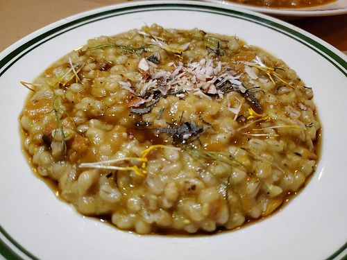 Sweet and tangy risotto at Mola in Buenos Aires