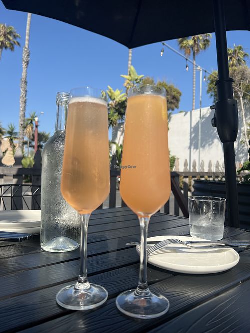 Sparkling Rosé and ‘The baby Michael’ cocktail   at The Plot in Oceanside