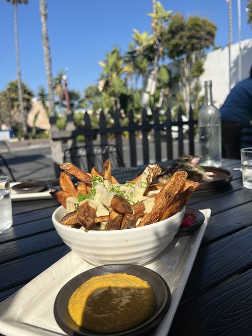 Cheesy Truffle fries   at The Plot in Oceanside