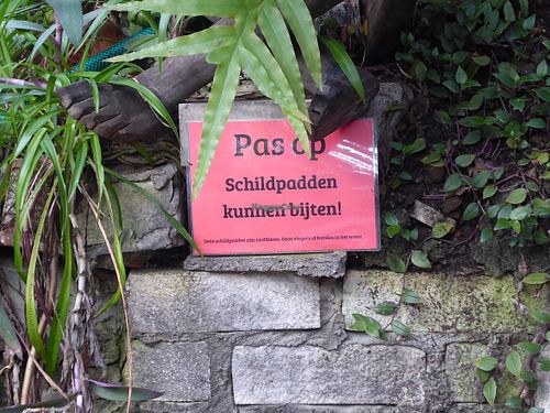Watch out for the tortoises at Het Paradijs in Enschede