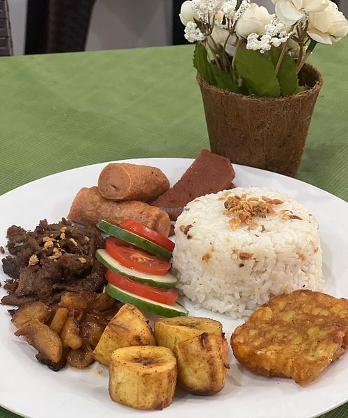 Image of The Plant-based Project