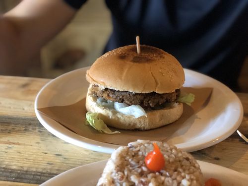 Soy burger at Planet Vegan in Sao Paulo