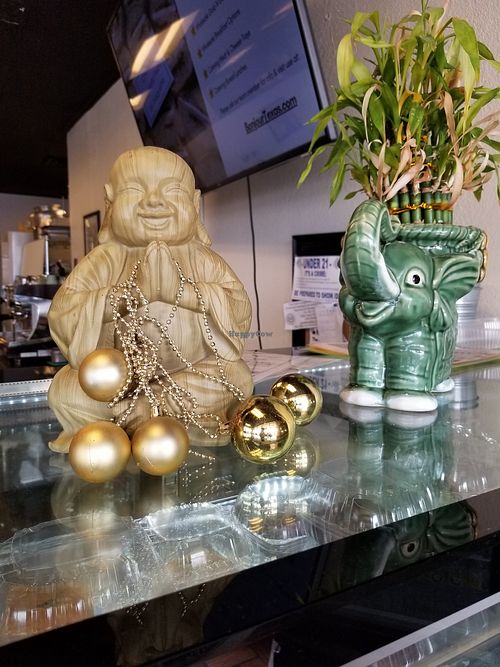  at 7 Monk's Cafe in New Braunfels