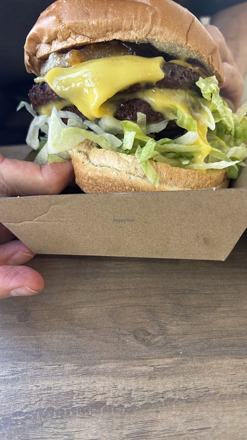 The big boi  at Burger Plant in Dunedin