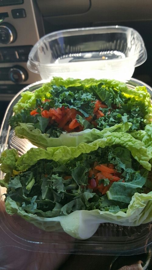 Raw Tacos at Evolution Fast Food in San Diego