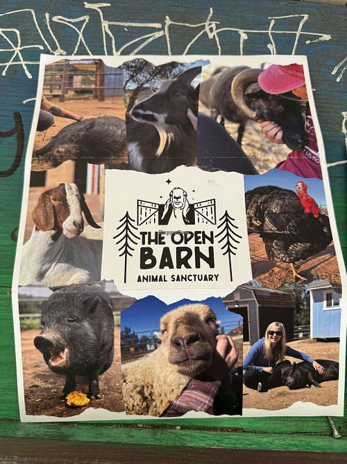 Leaflet  at Evolution Fast Food in San Diego