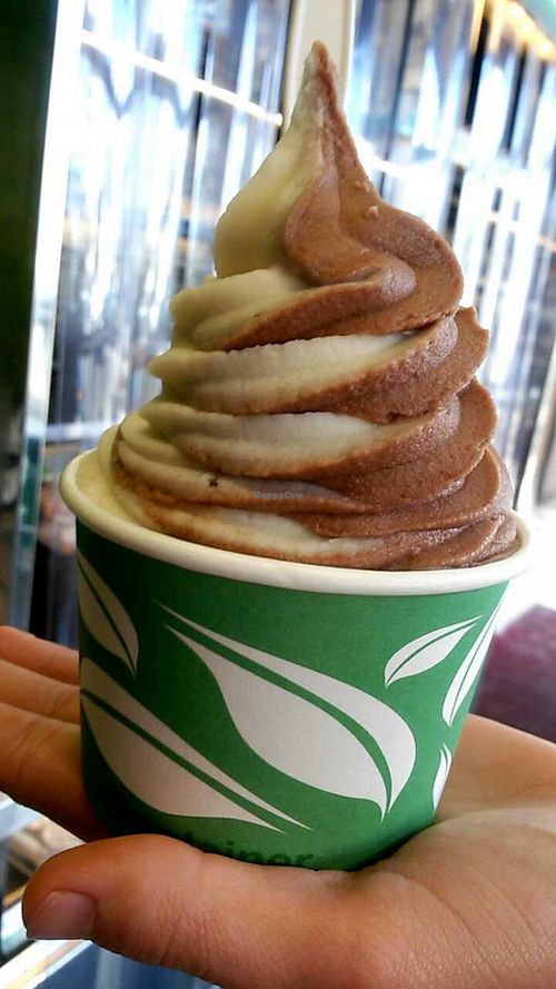 Swirl ice cream at Evolution Fast Food in San Diego