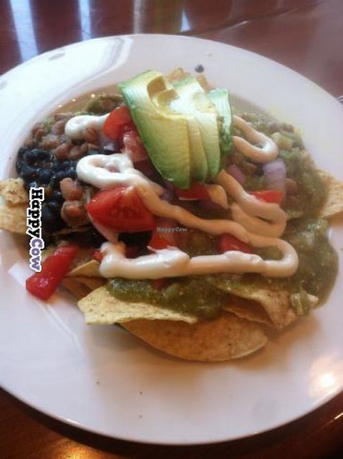 Vegan nachos with added avocado! at The Wild Cow in Nashville