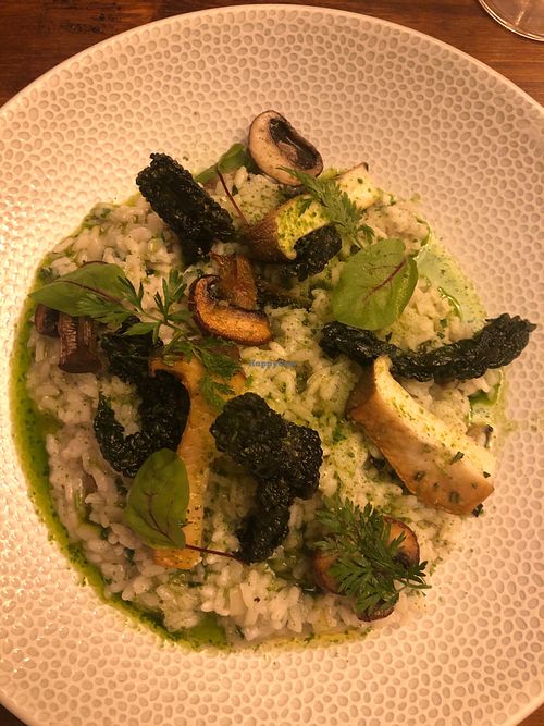 Wild mushroom, kale and herb risotto at The Angel Inn in Colchester