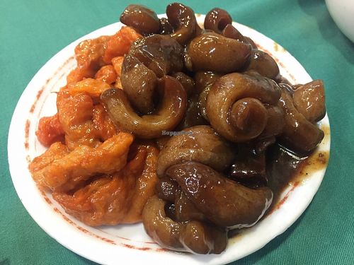 Veg at Miu Fat Chai - Tsuen Wan in New Territories