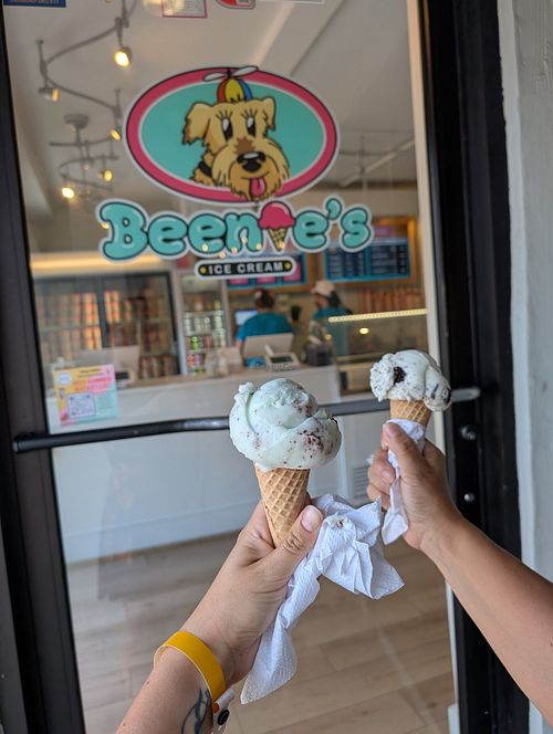 Mint and chocolat Ice Cream (made with oat Milk) at Beenie's in Morristown