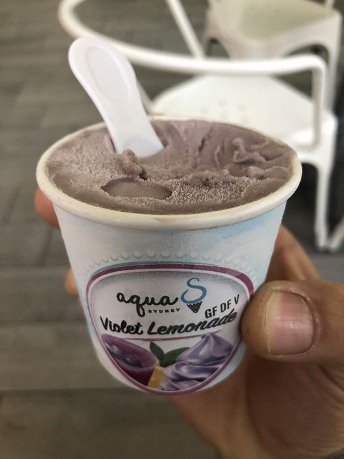Vegan little ice cream on the go  at Aqua S in New Orleans