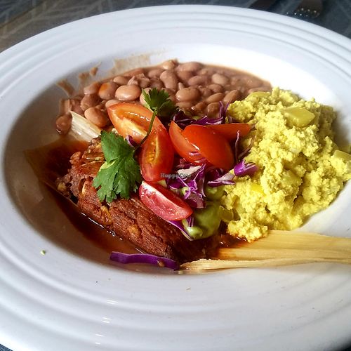 Breakfast tamale plate with tofu scramble, beans, veggies. at Morning Glory Cafe in Flagstaff