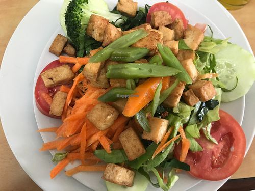 Image of Vida Sana - Jesus Maria