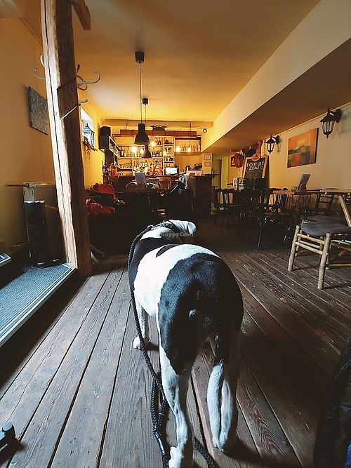 Inside of the bar at Chillout Bar in Ostrava