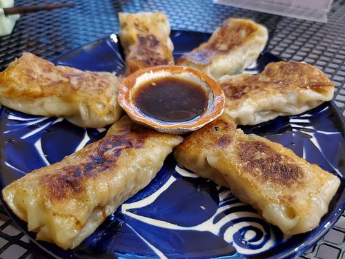 Gyoza at Vegan Ramen Mei in Puerto Vallarta