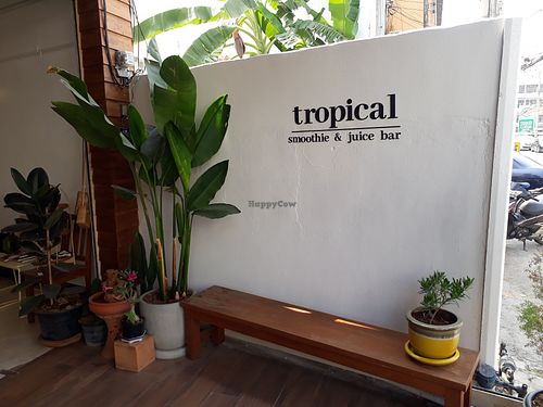 Decor at Tropical Juice and Smoothie Bar in Chiang Mai