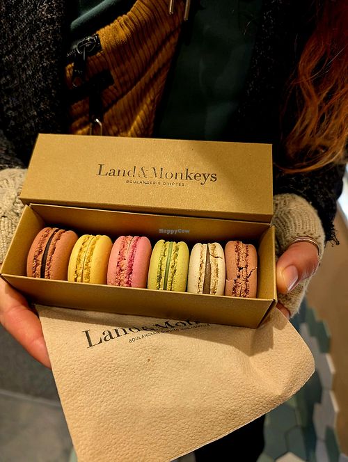  at Land & Monkeys - Beaumarchais in Paris