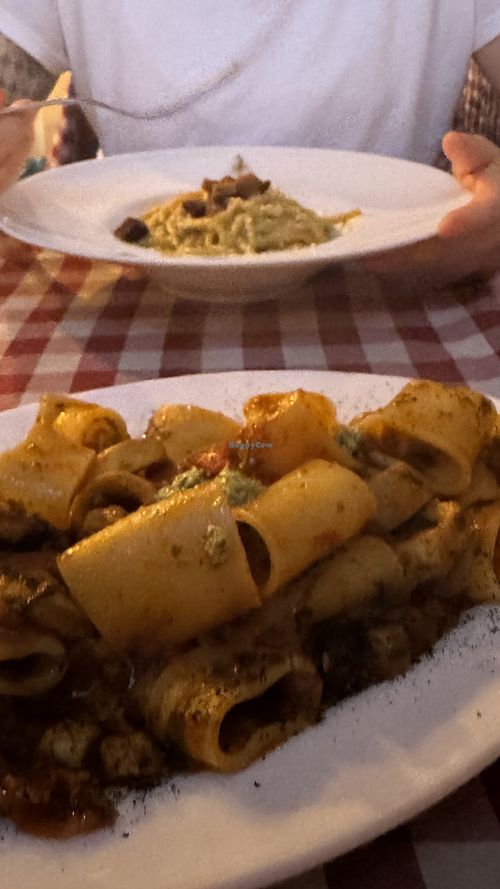 Carbonara (dissapointing) & chewy ‚calamari‘ dish  at Al Sanpietrino Trattoria in Lisbon
