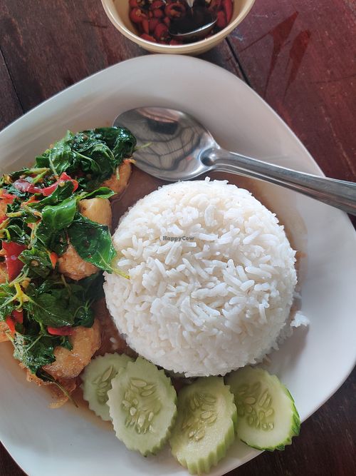 Basil stirfried tofu at Kunrak Kitchen in Prachuap Khiri Khan