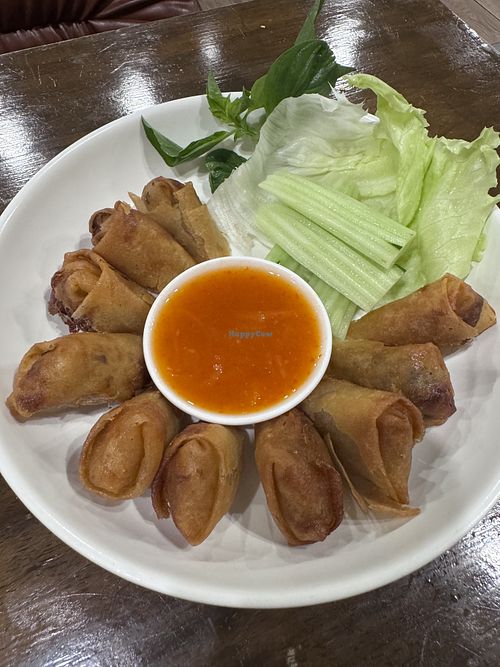 Spring roll. FRIED   at Veganerie - Nana in Bangkok
