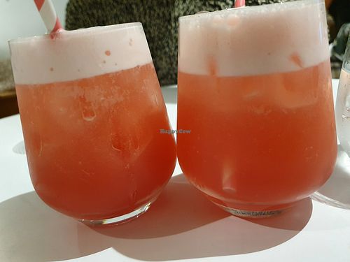 fresh drinks at Erpingham House in Brighton