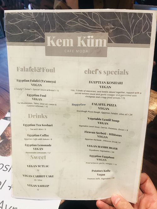 Menu  at Plantbased Egyptian Eatery in Istanbul