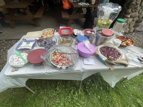   at Vegetarians of the Greater Youngstown Area in Youngstown