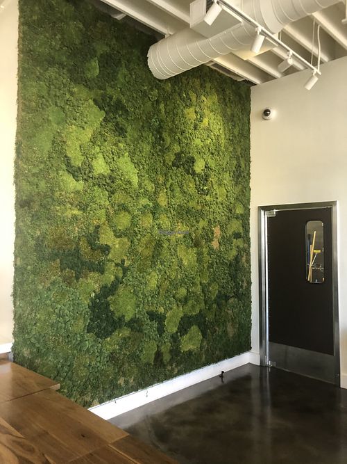 Green wall  at Love Organic Cafe in West Hollywood