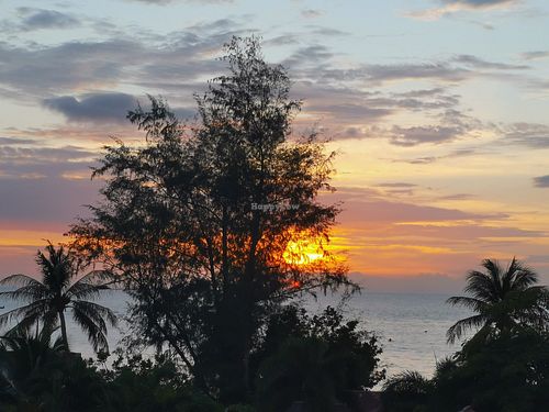 The view at Barracuda in Koh Tao