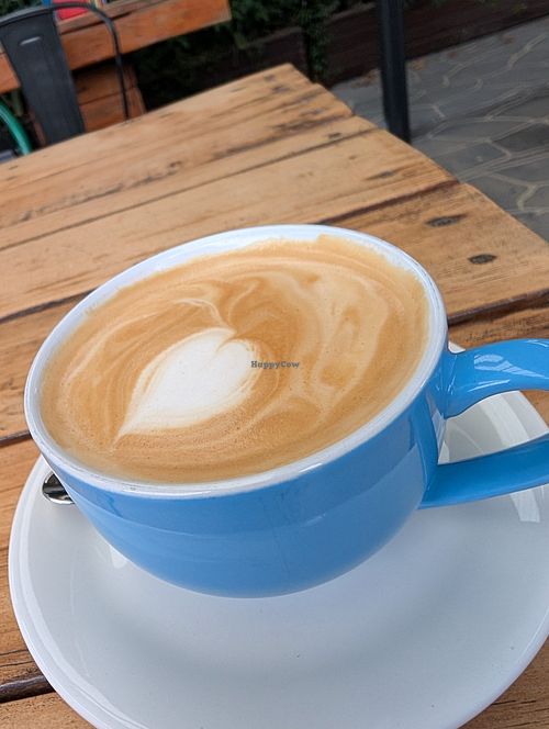 Oat flattie at Moon Rabbit in Preston