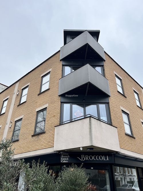   at Broccoli in North London