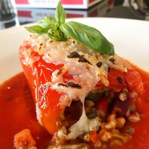 Photo by Jenny, The Pint-sized vegan  at Trattoria 632 in Harrison