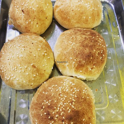 DayZeeks at DayZeeks in Bristol