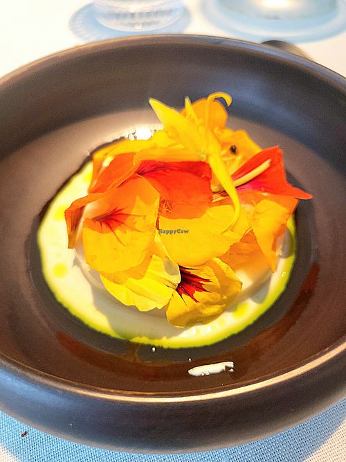 Asparagus panna cotta with grapefruit at FARO in Tokyo