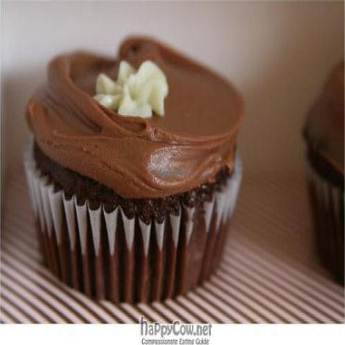 chocolate cupcake at Babycakes - downtown LA in Los Angeles
