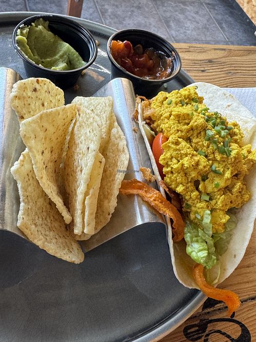   at Good Vibes in Gran Canaria