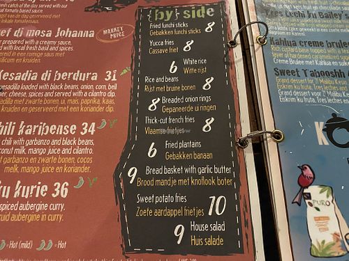 Have the yucca fries! Very filling and satisfying.   at Tabooshh in Willemstad