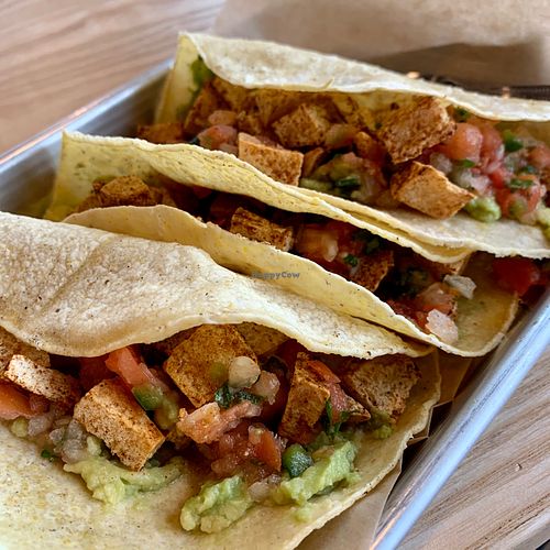 Tofu Tacos at Zaftig Brew Pub in Columbus