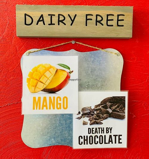 Vegan options! at Lighthouse Yogurt Company in Klamath Falls