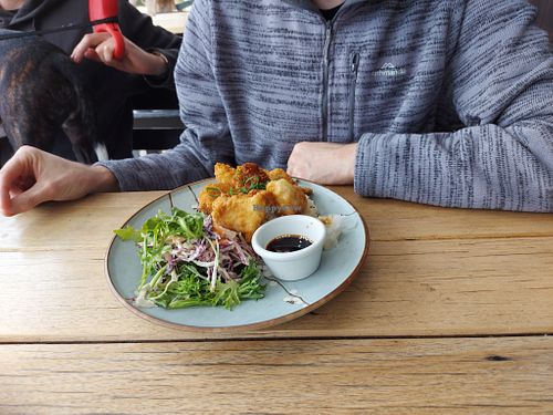 Tofu Karaage at Forrest Brewing Company in Forrest