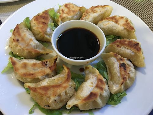 Veggie fried dumplings at All About Noodles in Lisbon