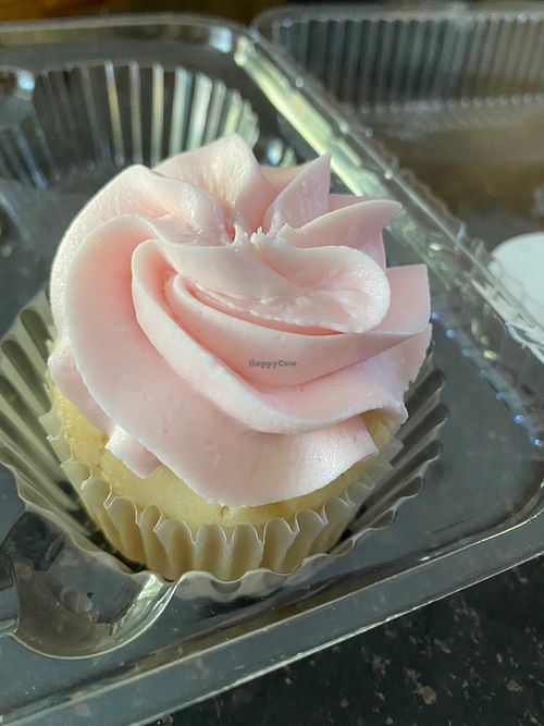 Strawberry on chocolate  at Mmmm Delicious Cupcakes in New Port Richey