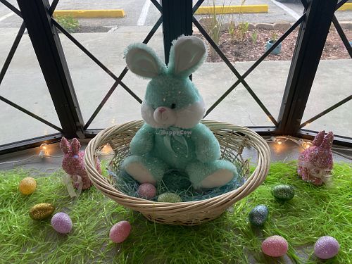 Window decoration  at Mmmm Delicious Cupcakes in New Port Richey