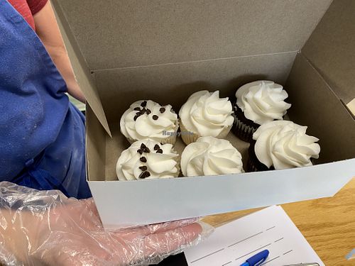 6 vegan cupcakes 🧁  at Mmmm Delicious Cupcakes in New Port Richey