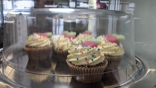 Cupcakes at Plantside in Wellington